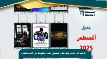 6 عروض مسرحية على مسرح نهاد صليحة في أغسطس
